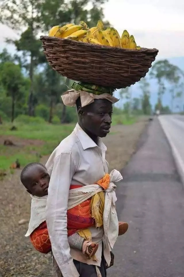 This unidentified dad tops carrying his baby with balancing a basket of bananas on his head This unidentified dad tops carrying his baby with balancing a basket of bananas on his head