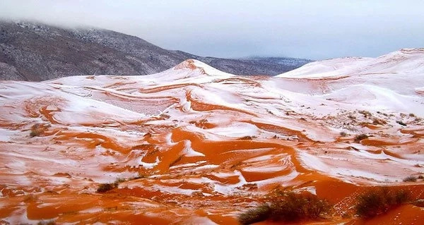 Surprise as snow falls in the Sahara desert for first time in over 37 years