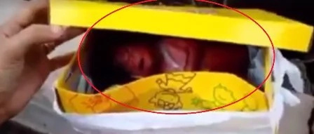 Newborn baby left inside a box to die Newborn baby left inside a box to die