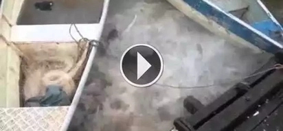 They saw movement in the water and threw a piece of meat there. What happened next was a horror movie!