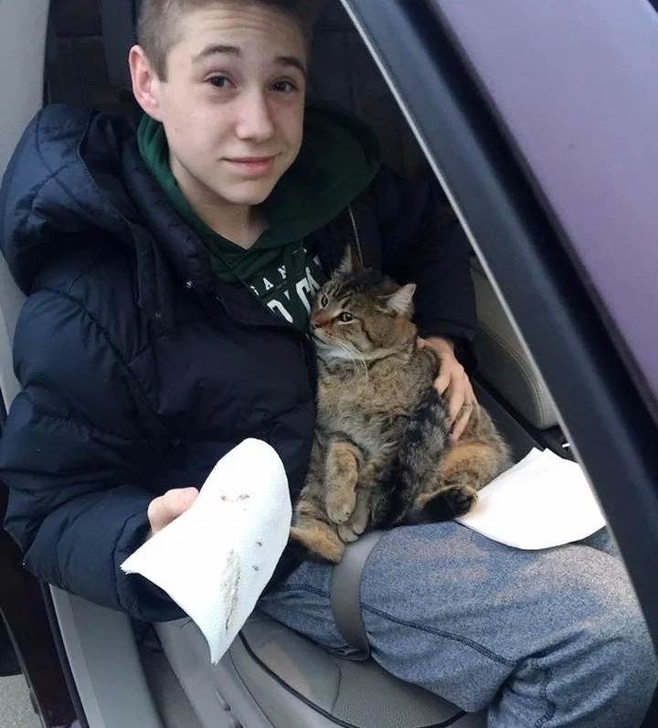 14-Year-Old Kid Risks His Life To Save Cat Hanging Over The Bridge, But It's Not The End Of It... 14-Year-Old Kid Risks His Life To Save Cat Hanging Over The Bridge, But It's Not The End Of It...