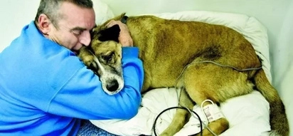 Brave man risks his life to save his dog from a burning house