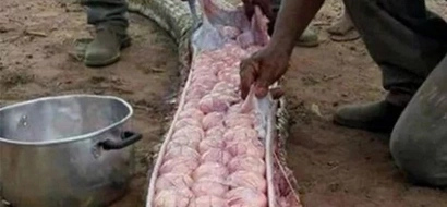 Villagers Cut Open This Giant Snake And Found This Inside