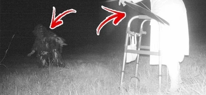 People reported seeing a mountain lion in park, police set up cameras to catch it. When they reviewed footage, they spotted more unexpected creatures!
