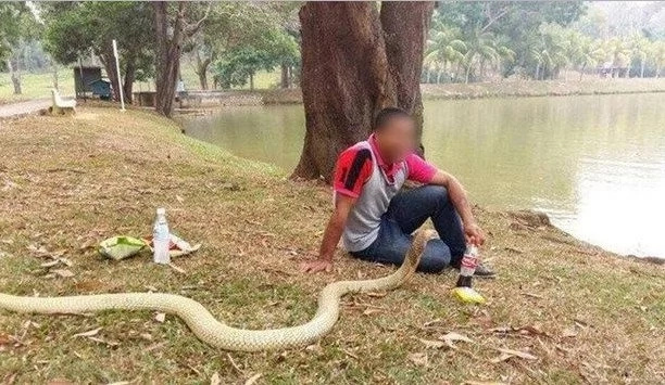 Man Marries His Pet Snake Because He Believes It Is His Reincarnated Girlfriend Man Marries His Pet Snake Because He Believes It Is His Reincarnated Girlfriend