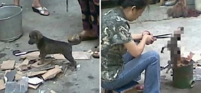 Chinese woman horrifies netizens by roasting live puppy over fire