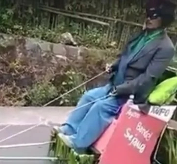 Rooster pulls loaded cart, video went viral Rooster pulls loaded cart, video went viral