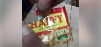 Piso isa! Netizens shocked by what they found inside HAPPY peanuts