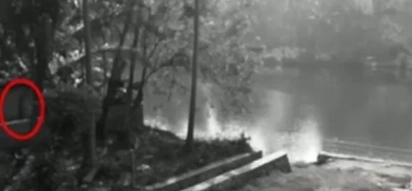 Netizen shared a creepy CCTV footage of the unknown walking creature