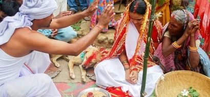 WATCH: Girl has arranged marriage to dispel curse; you'll never guess who she married!