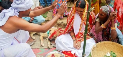 WATCH: Girl has arranged marriage to dispel curse; you'll never guess who she married!