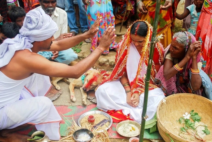 Indian girl forced to marry dog to get rid of curse Indian girl forced to marry dog to get rid of curse