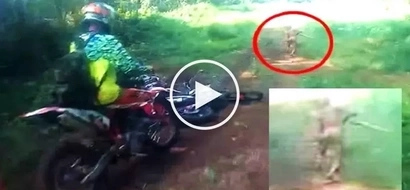 These motorcycle riders spotted a scary & mysterious creature on a forest trail! Watch the terrifying video!