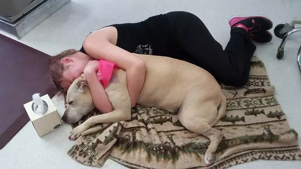 Family gives their lovely dog her best last day ever (PHOTOS) Family gives their lovely dog her best last day ever (PHOTOS)