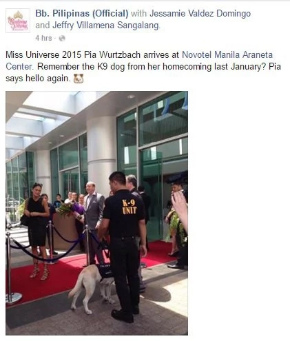 Pia Wurtzbach arrives home to crown possible Miss Universe successor Pia Wurtzbach arrives home to crown possible Miss Universe successor