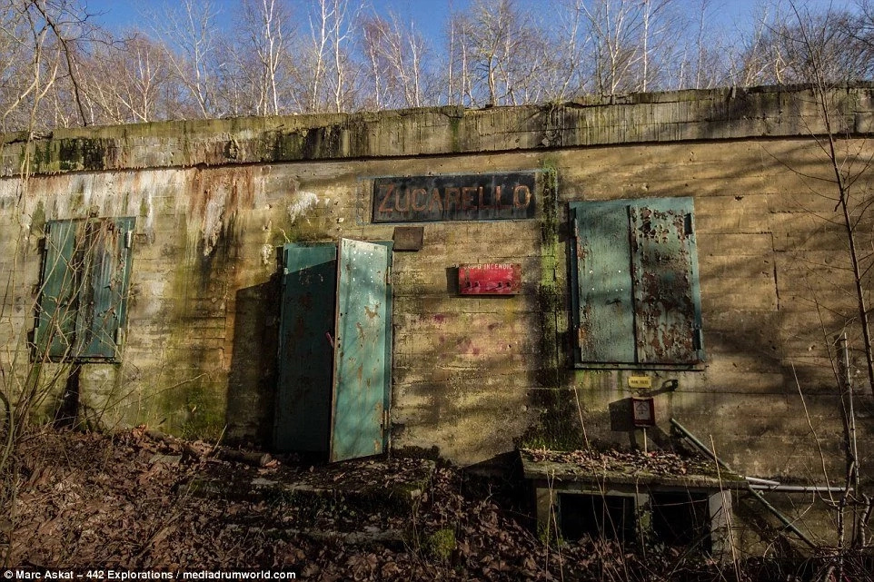 Young photographer found an abandoned bunker in a thick forest. Then he realized that he is the only person who entered inside for the past 70 years. Young photographer found an abandoned bunker in a thick forest. Then he realized that he is the only person who entered inside for the past 70 years.
