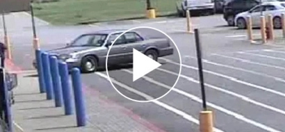 Impatient dogs DRIVE and CRASH car into Walmart