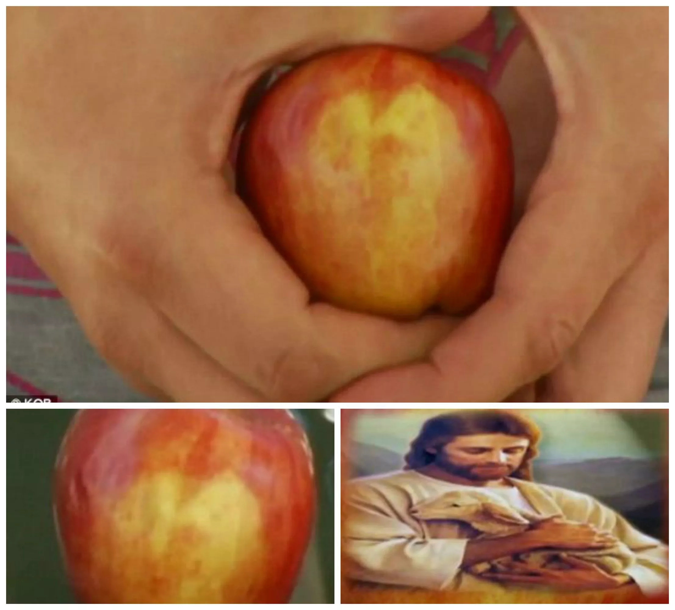 Top 10 Times Jesus' Face Appears In Inanimate Objects
