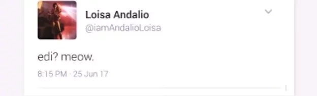 loisa-tweet loisa-tweet