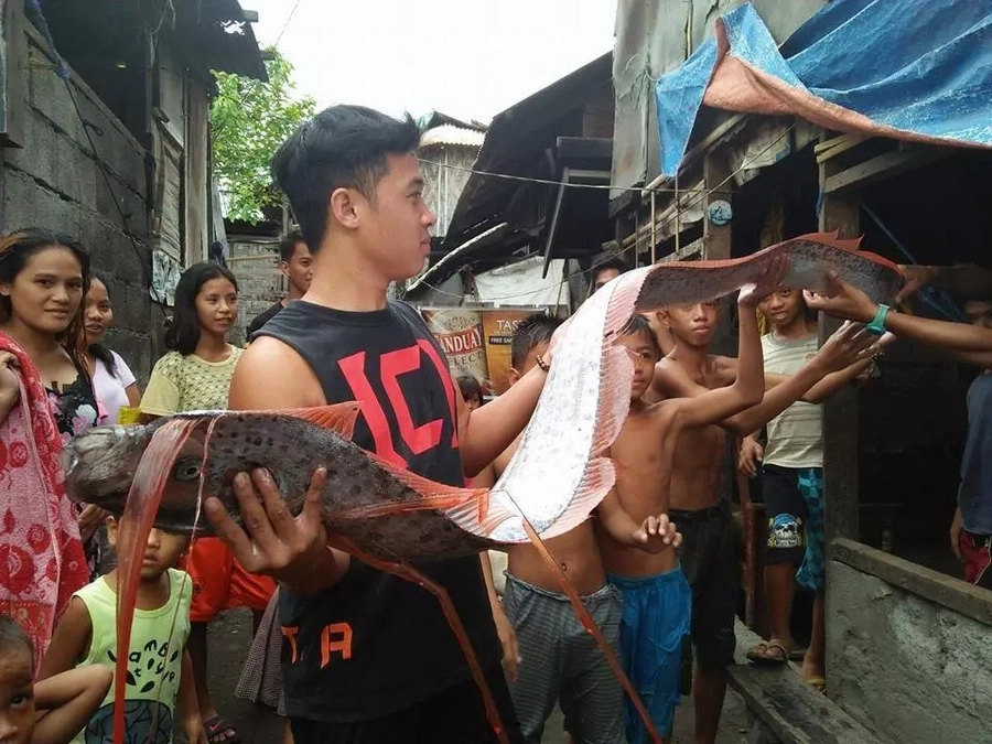 PHOTOS: Rare oarfish captured in Mindanao PHOTOS: Rare oarfish captured in Mindanao
