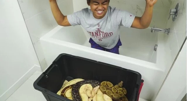 Man Takes A BATH With A Bunch Of SNAKES Man Takes A BATH With A Bunch Of SNAKES