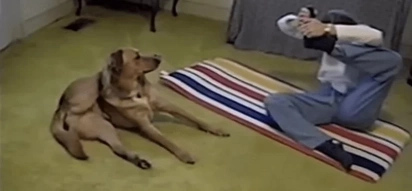 Watch this cute video of a dog doing yoga with its owner!