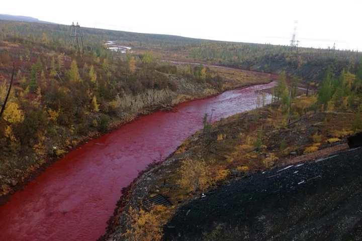 Russian river turns bloody red, and it's horrendous Russian river turns bloody red, and it's horrendous