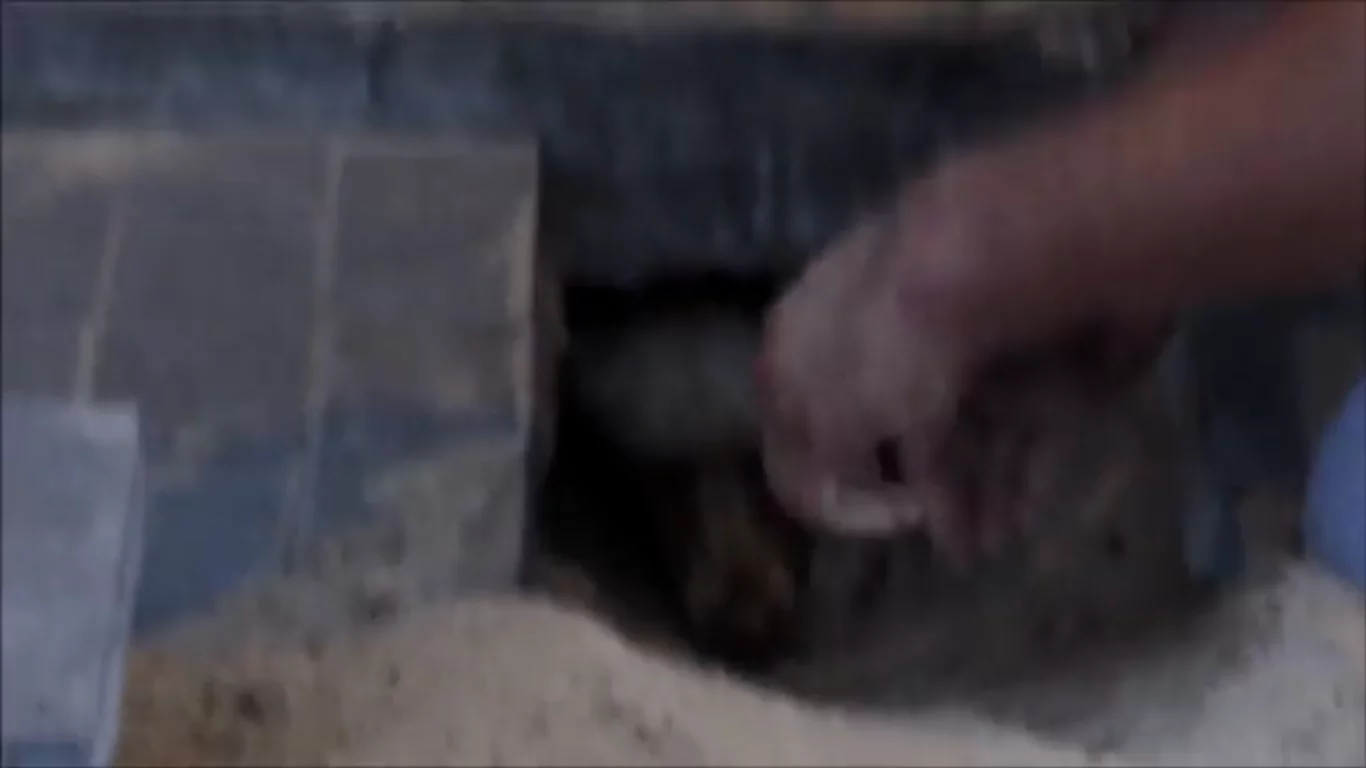 Thank God she was found ... Thank God she was found ...