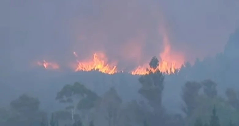 Impacting photos! Powerful fire destroys CHRISTCHURCH and forces thousands to flee for their lives