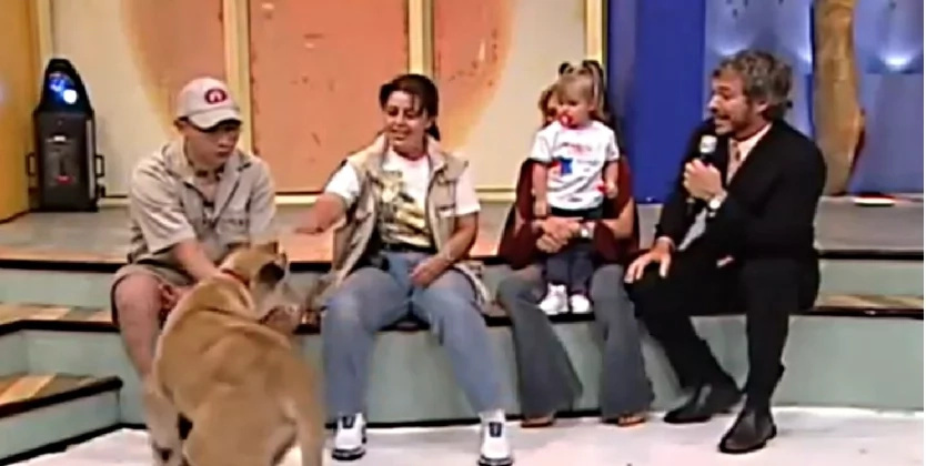 Lion pounces on baby on this Mexican show Lion pounces on baby on this Mexican show