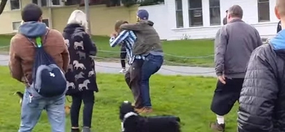 Man Attacks A Dog In A Dog Park, Gets Attacked By Crowd of Dog Owners!