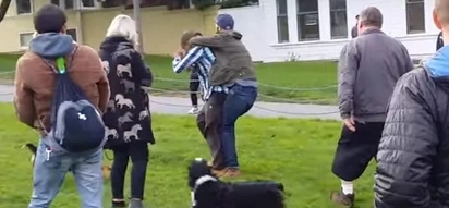 Man Attacks A Dog In A Dog Park, Gets Attacked By Crowd of Dog Owners!