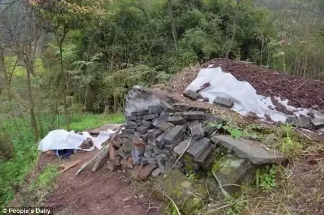 72-year-old man digs his own grave and waits in it (photos)