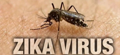 Is PH safe after Singapore confirmed Zika spread beyond place of outbreak?