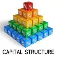 Types and Importance of Capital