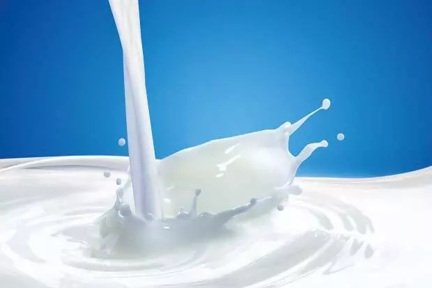 Importance of Milk and Milk Product