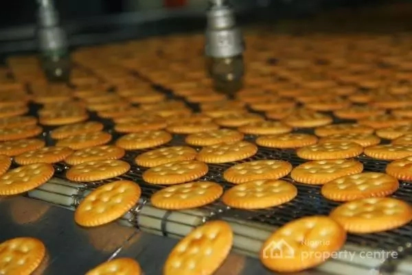 Steps To Start Biscuit Production Business In Nigeria