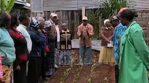 How To Start An Agricultural Training Workshop In Nigeria