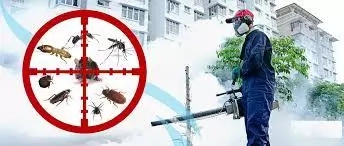 How To Start A Fumigation Business In Nigeria