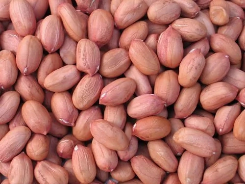 How Much is a Bag of Groundnut in Nigeria?