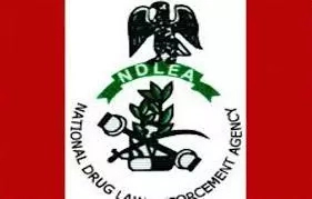 6 Functions of Nigerian Drug Law Enforcement Agency and Role in Preventing Drug Abuse 6 Functions of Nigerian Drug Law Enforcement Agency and Role in Preventing Drug Abuse