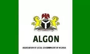 37 Functions Of The Local Governments In Nigeria - Information Guide