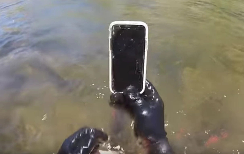 What To Do When Your Phone Falls Into Water