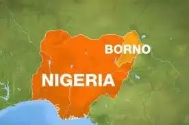 Basic Things to Know About Borno State