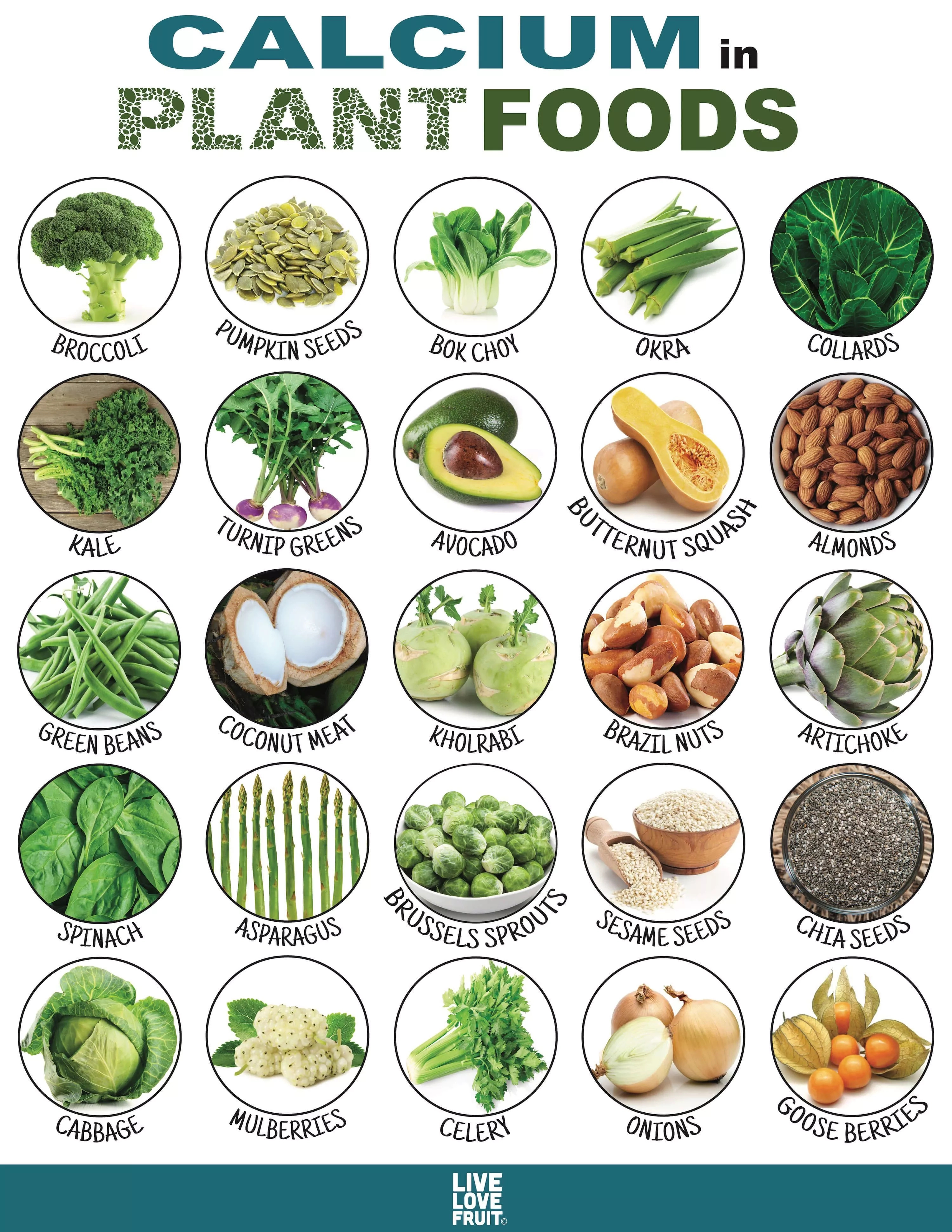 Food Sources of Calcium