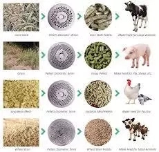 How to Start Animal Feed Business in Nigeria