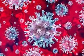Things You Should Know About the Coronavirus