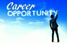 Career opportunities in Business Studies