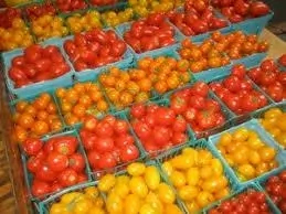 8 Varieties and Types of Tomatoes Grown In Nigeria