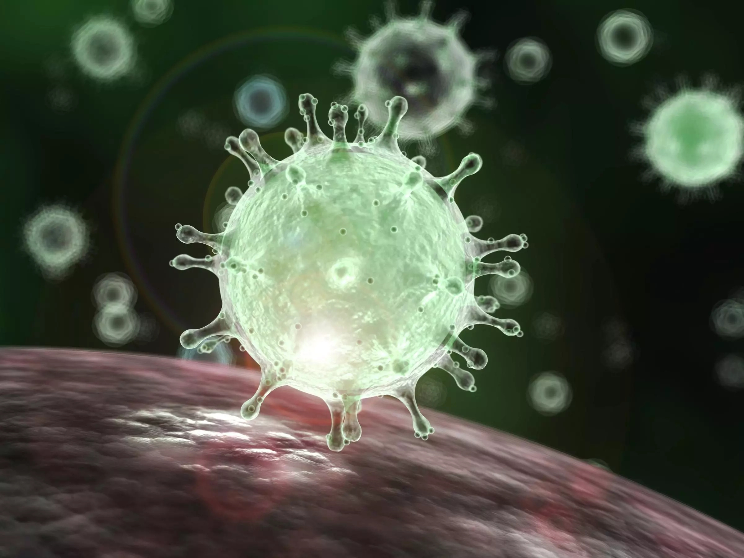 Health Alert: Corona Virus may have spread to Africa - HSEWatch.com